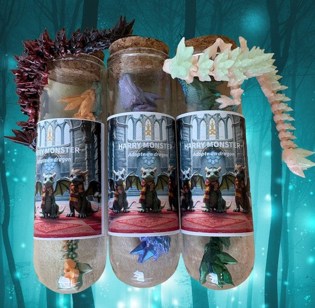 Adopte un Dragon – Compagnon Magique pour Enfants